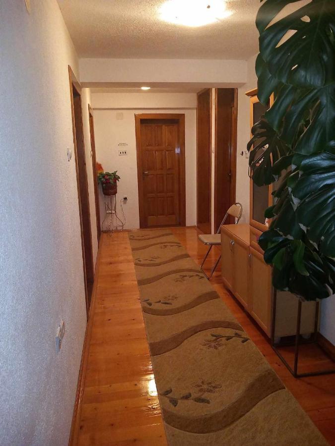 Apartment Little Village Plav Bagian luar foto